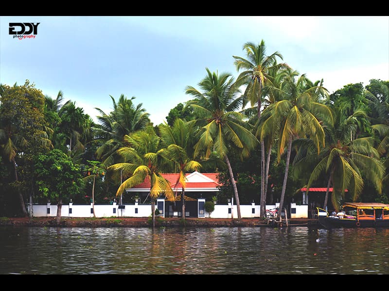 God's Own Country